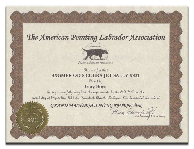 Sally 4X certifcate