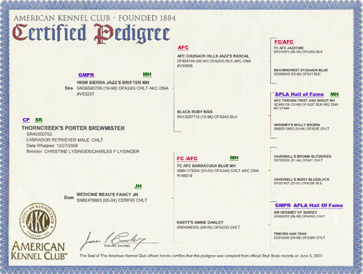 Porter Pedigree