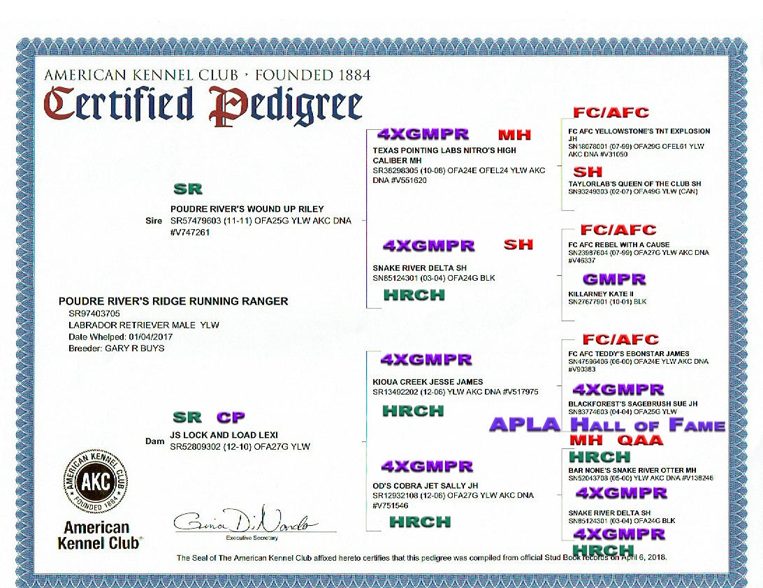 RANGER Pedigree